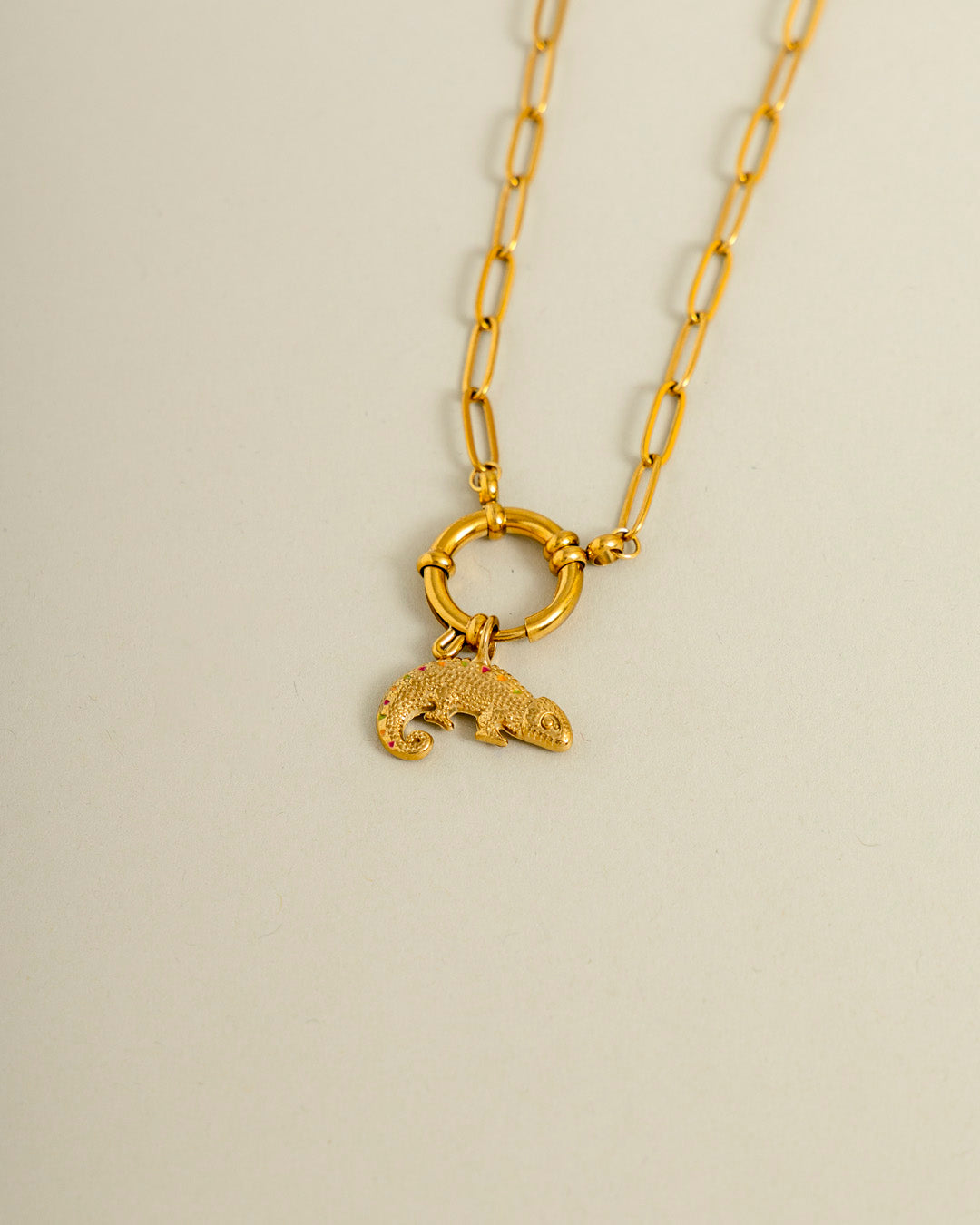 Chameleon Charm