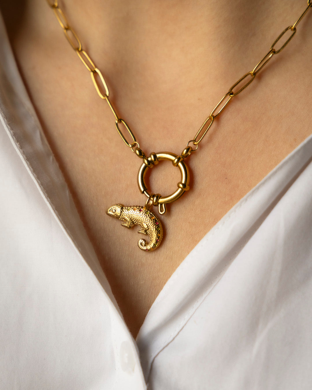 Chameleon Charm