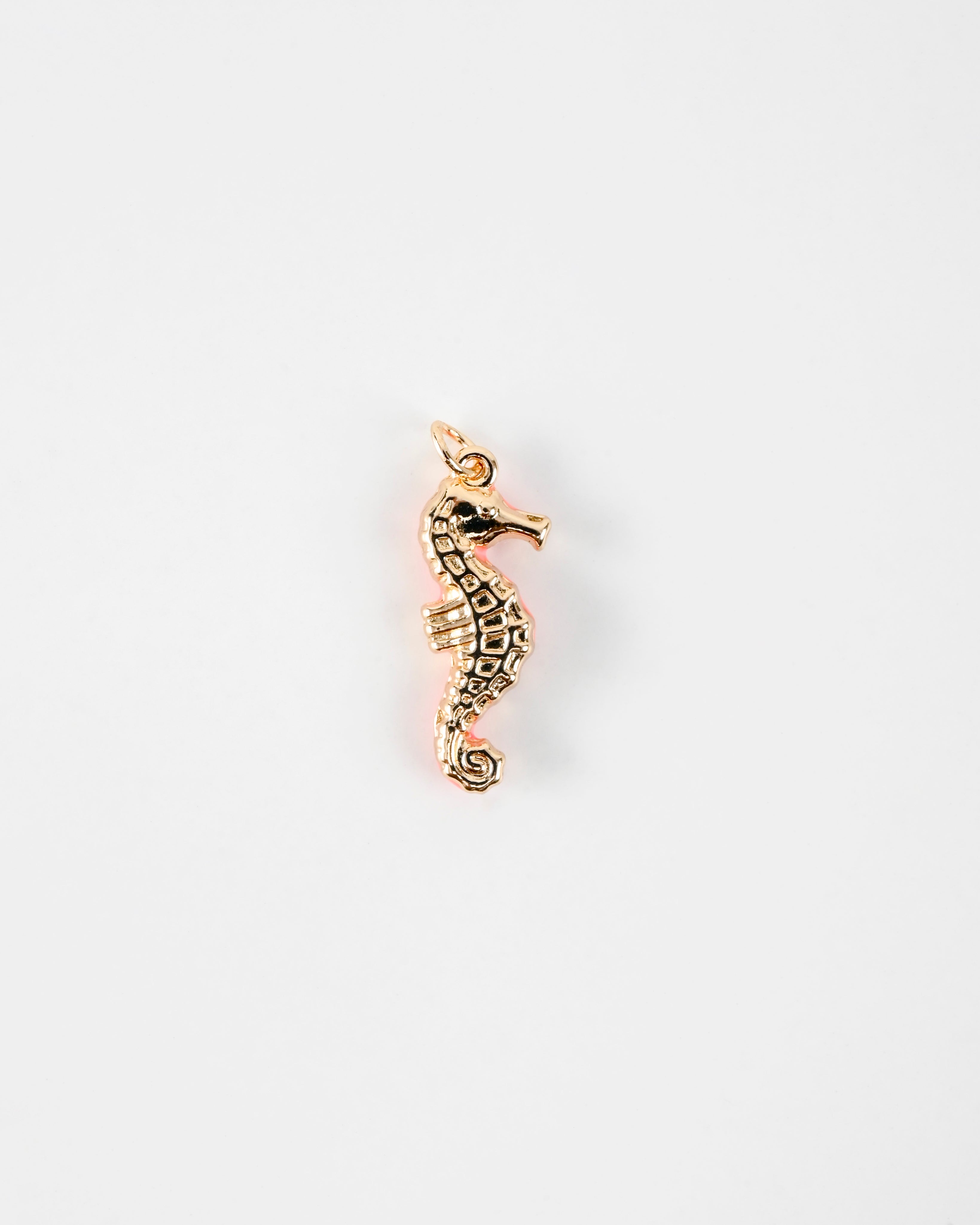 Seahorse Charm
