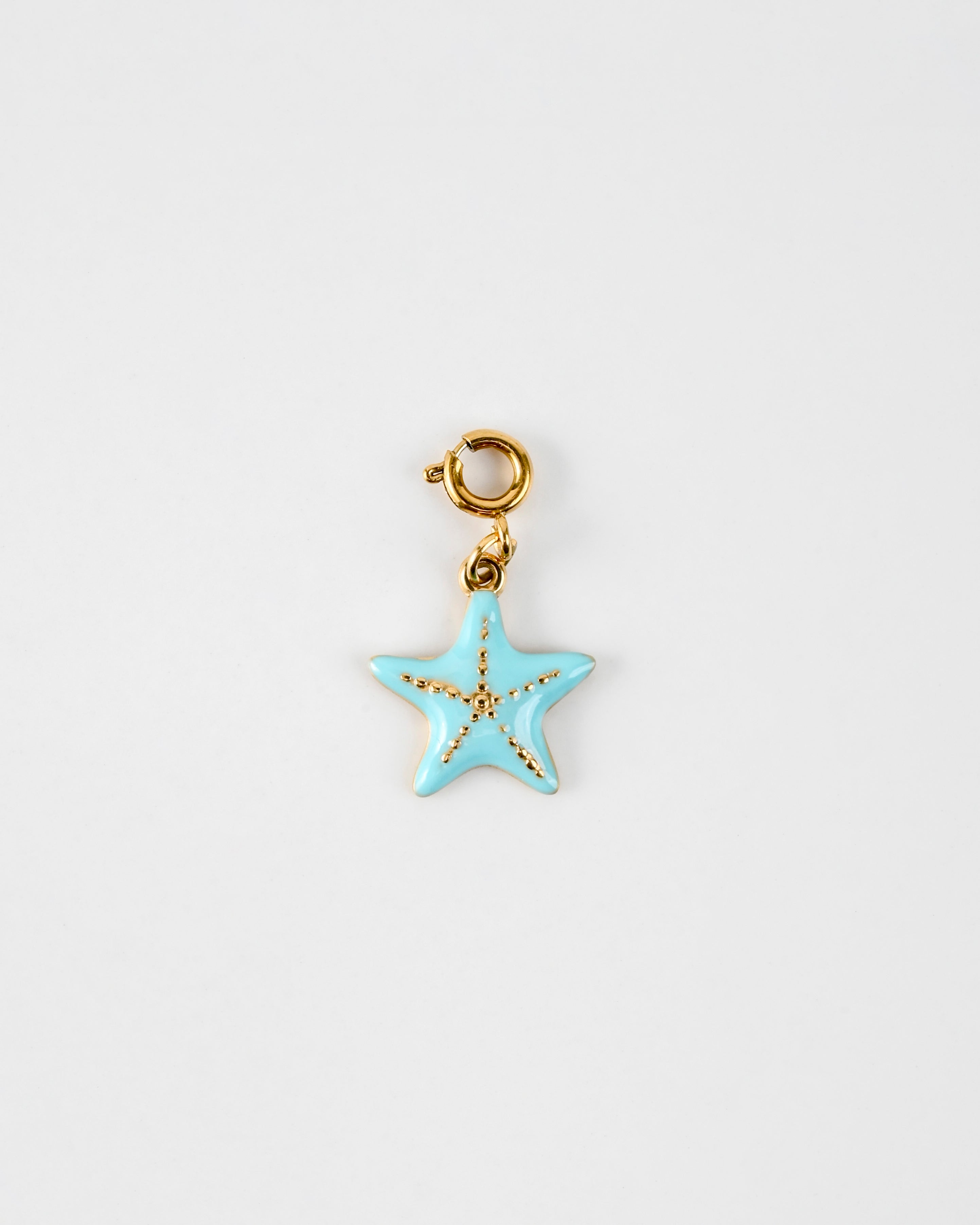 Starfish Charm