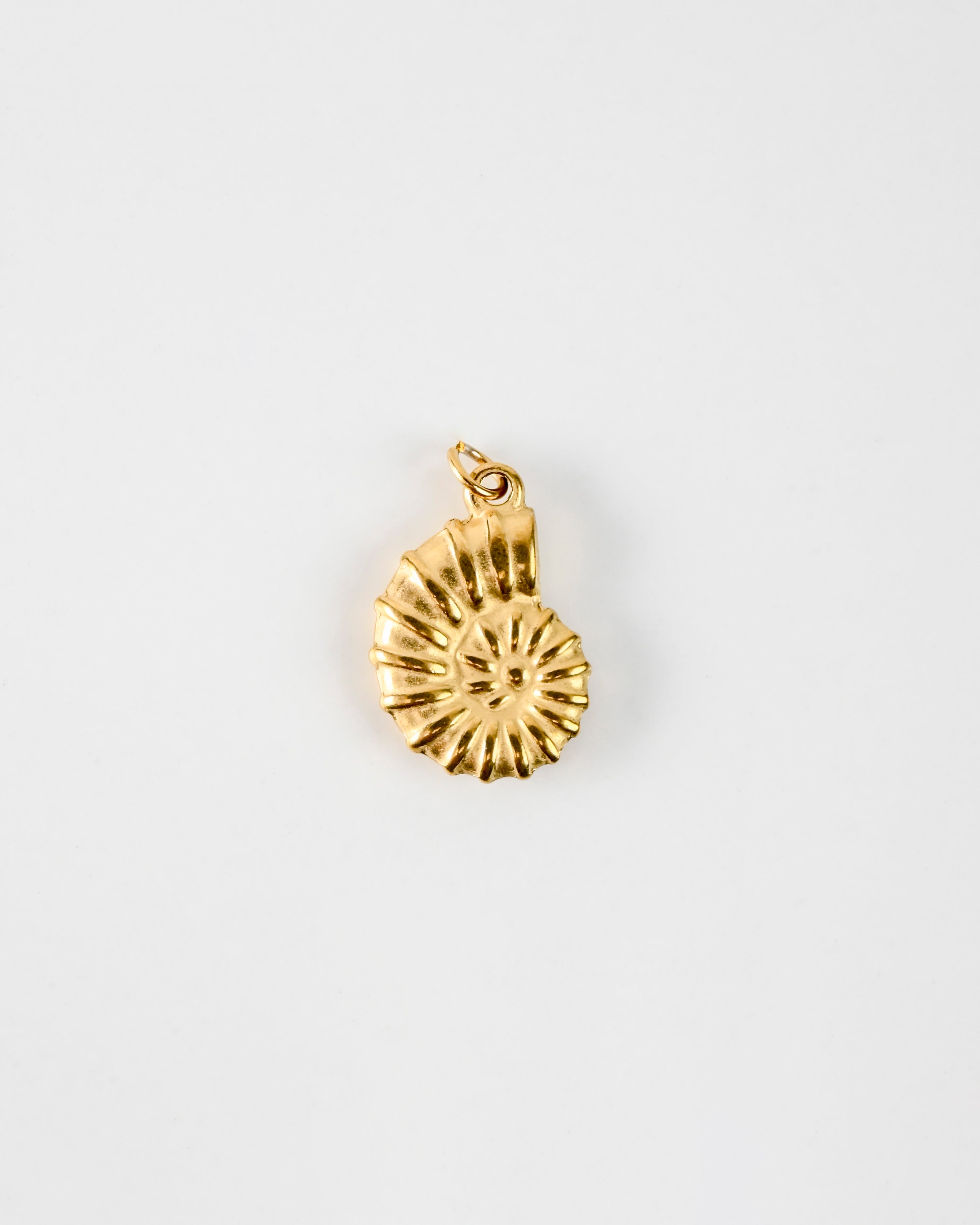 Ammonite Charm