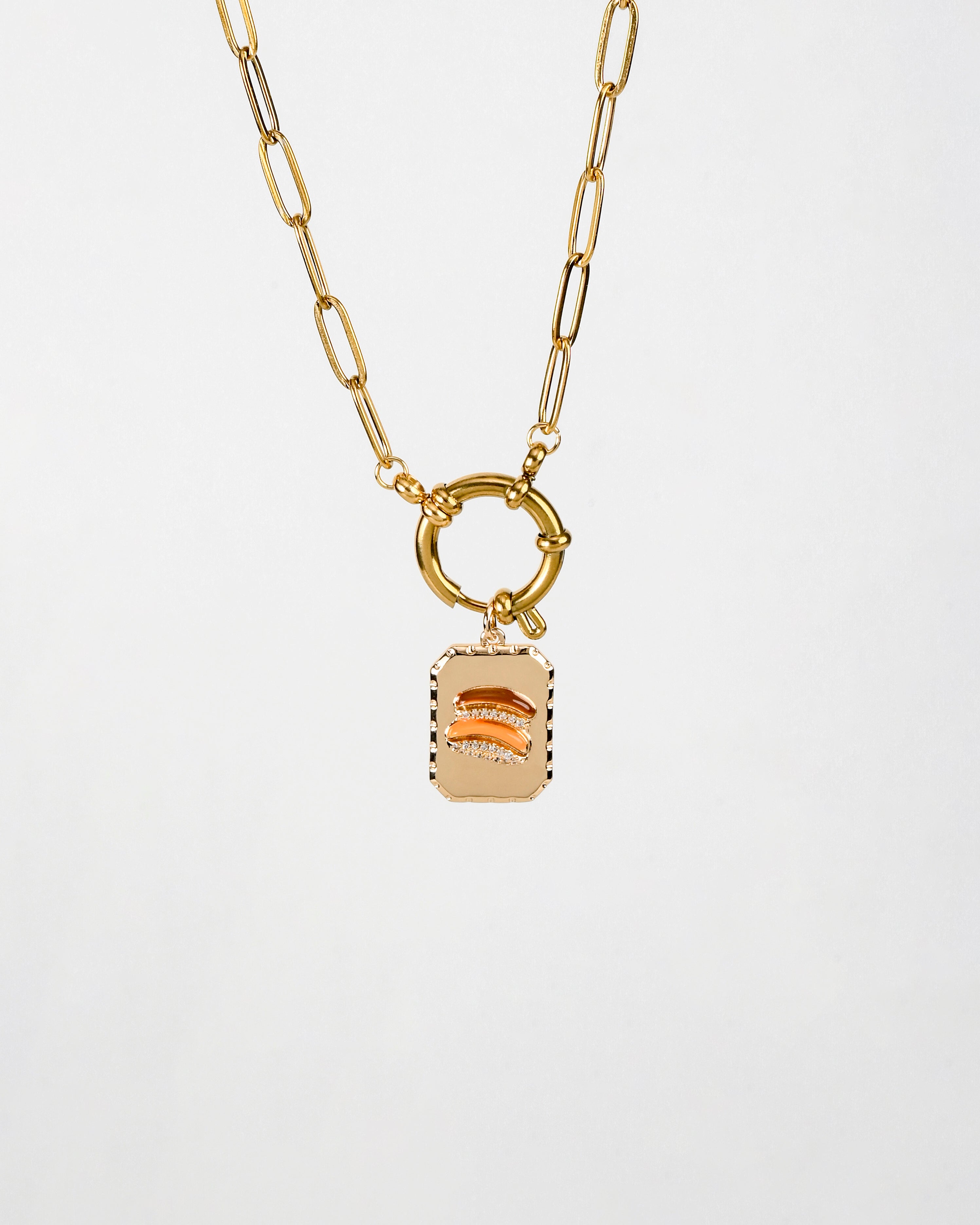 Nigiri Charm