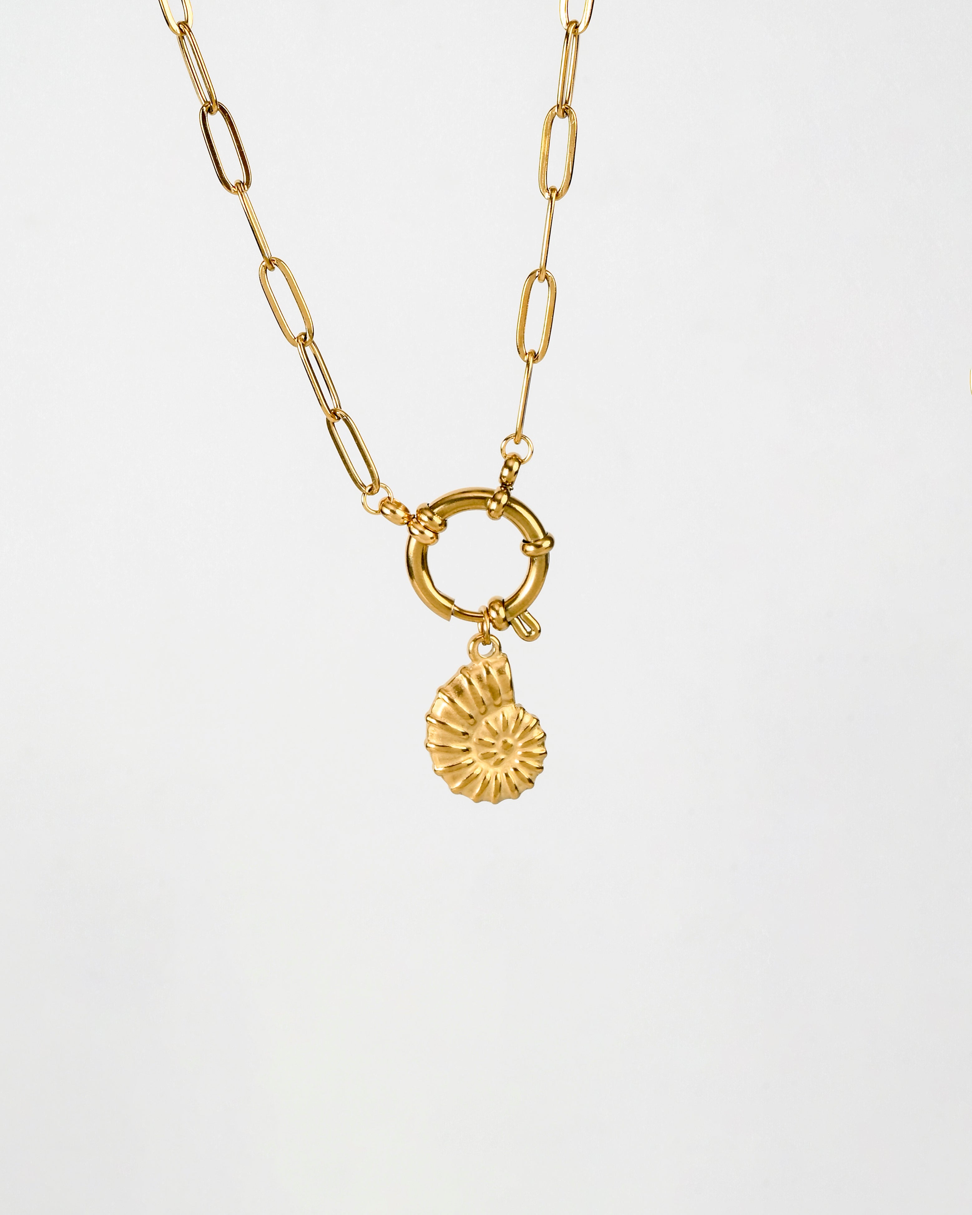 Ammonite Charm